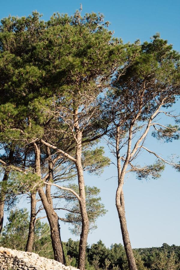 Nature House With A Wooden Porch - Pasika, House Tonka Pucisca Εξωτερικό φωτογραφία